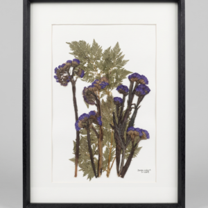 Cuadro Flores Prensadas Bosque en Miniatura  30×40 cm